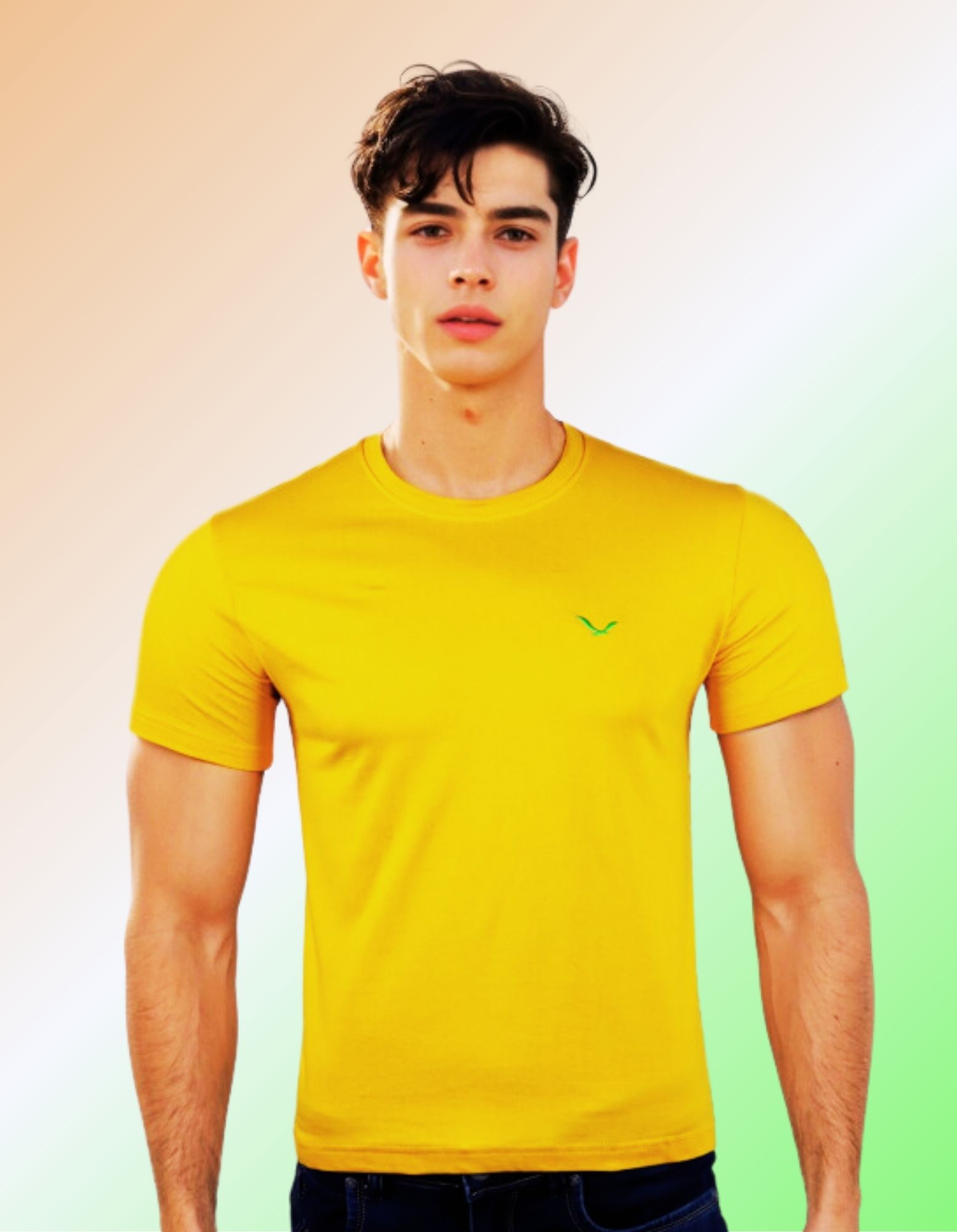 Cotton tshirts for men